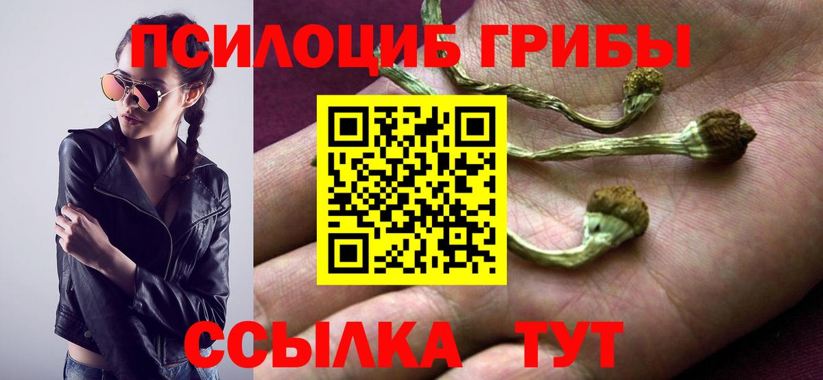 Учалы  Галлюциногенные грибы GOLDEN TEACHER  Вход с VPN 